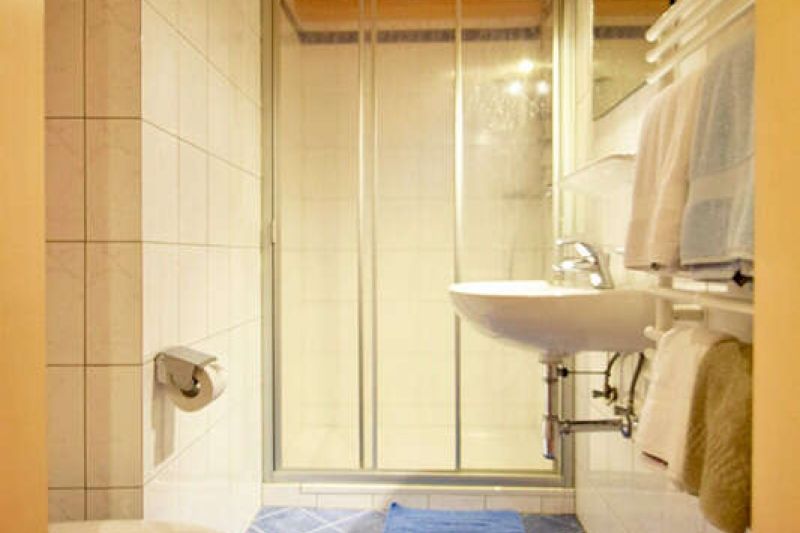 Badezimmer mit Dusche und WC im Nogglerhof